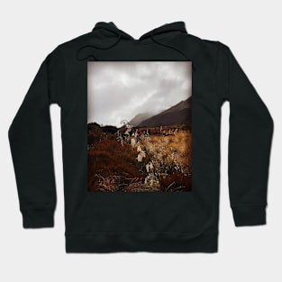 Incoming storm Hoodie